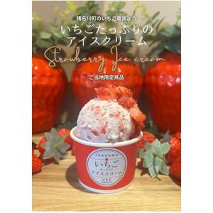 いちごたっぷりのアイスクリーム[配送不可地域:離島]