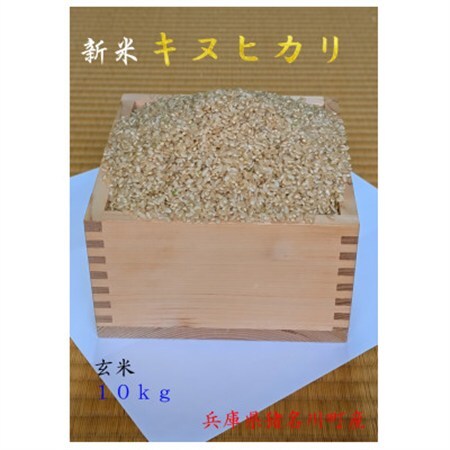 キヌヒカリ 令和8年産新米(玄米)