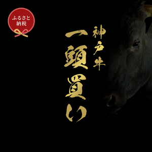 [和牛セレブ]神戸牛一頭分のセレブ体験(24分割納品コース)[1035]