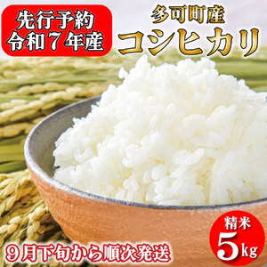 [先行受付]数量限定!令和7年産 お米 5kg コシヒカリ 精米 兵庫県多可町産 [1198]