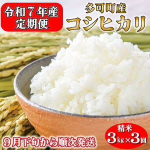 [定期便]令和7年産 お米 3kg×3回 コシヒカリ 精米 兵庫県多可町産 [1237]