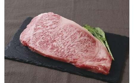 _ˋ Xe[L2Hה 300g T[C150g 150g