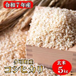 玄米 お米 5kgコシヒカリ 兵庫県多可町産 [1292]