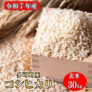   30kgRVqJ ɌY [1294]