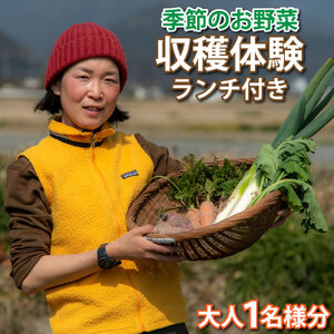 ファームビジット(収穫体験)とランチ(1名様分)[200]