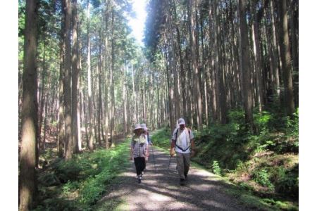 健康ウォーキング ペア招待券[321]