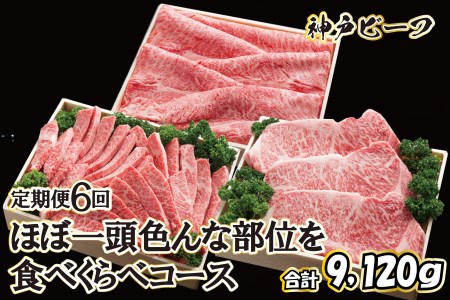 神戸ビーフ ほぼ一頭色んな部位を食べくらべコース(定期便6回)[620] 神戸牛