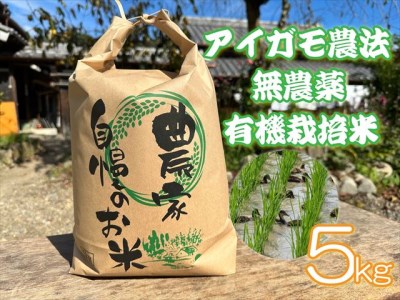 アイガモ農法で栽培した 無農薬 有機栽培米5kg お米 精米 こしひかり 兵庫県 多可町 ひのきもとさん