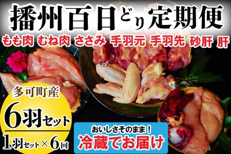 dBSǂ PH Zbg U  [839] {  ނ˓  H H   ①