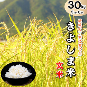きよしま米[玄米]5kg×6袋[825]