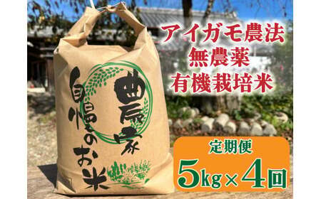 ySցzACK_@ō͔|_EL@͔|ĂTkg×S[918]