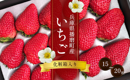 兵庫県播磨町産いちご(化粧箱入)(15〜20粒)