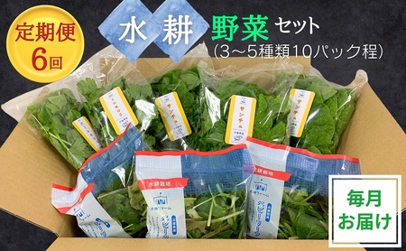 [定期便6回]毎月お届け 水耕野菜セット(3〜5種類10パック程)