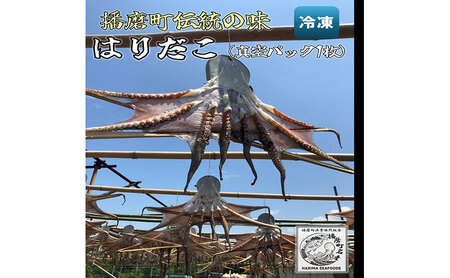 播磨町産 はりだこ(ほしだこ)1匹 播磨町産 活け〆はりだこ 1匹 セット タコ 海鮮 魚介類 瀬戸内 兵庫県 播磨町