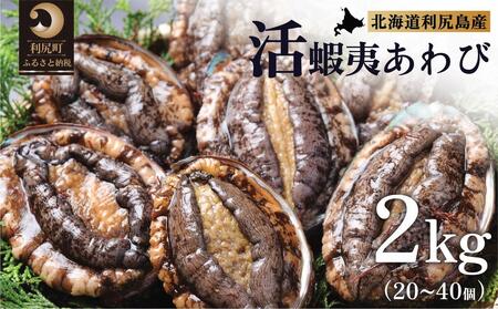 y10`12tzVRڈ΁wxArQkg KYyԌzKzHׂĈ [1060138]