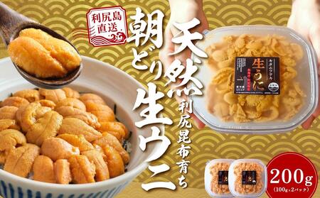 �y2026�N������t�z���K���Y�u���ǂ�v����������200g (100g×2) �V�R�L�^�����T�L�E�j�y6~8���������z�b�k�C�� ���l�� �V�R ����  ���Y�� �~���E�o���s�g�p [1090030]