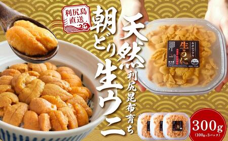 �y2026�N������t�z���K���Y�u���ǂ�v����������300g (100g×3) �V�R�L�^�����T�L�E�j�y6~8���������z�b�k�C�� ���l�� �V�R ����  ���Y�� �~���E�o���s�g�p [1090031]