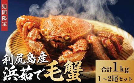 �y2026�N��s��t�z�k�C���Y �l䥂ŖуK�j ���v��1kg�i���Ⓚ�E�`���h�z���j���K�Y�y1����菇���o�ׁz�b�ъI �I ���� �J�j���X �I���X �{�C�� �C�N ���� [1060140]