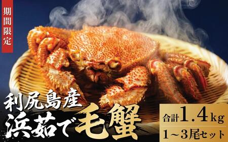 �y2026�N��s��t�z�k�C���Y �l䥂ŖуK�j ���v��1.4kg�i���Ⓚ�E�`���h�z���j���K�Y�y1����菇���o�ׁz�b�ъI �I ���� �J�j���X �I���X �{�C�� �C�N ���� [1060142]