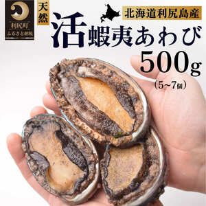 【10月中旬～12月期間限定】利尻島産 天然蝦夷『活』アワビ500g※オンライン決済限定