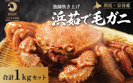 �y2026�N��s��t�z�k�C���Y �l䥂ŖуK�j ���v��1kg�i���Ⓚ�E�`���h�z���j���K�E�@�J�Y�y2����菇���o�ׁz�b�ъI �I ���� �J�j���X �I���X �{�C�� �C�N ���� [1060052]