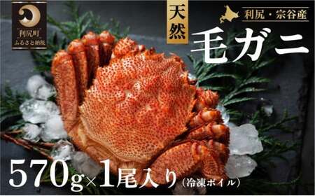 KE@JY Ⓚ{CъI 570gO×1 [1060066]