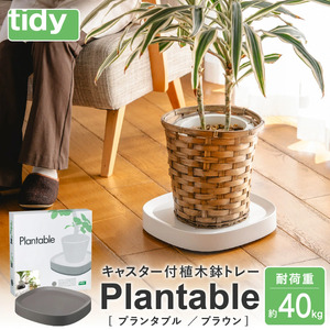 tidy ティディ Plantable(キャスター付植木鉢トレイ)[ブラウン]012EB05N./台 観葉植物 トレイ プランター 受け皿 受皿 鉢皿 らくらく移動 可動式 軽量 ガーデニング リビング オフィス 玄関 掃除用品 掃除 お 日用品 インテリア 雑貨 おしゃれ