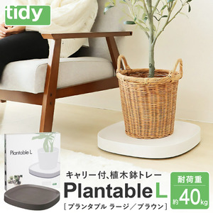 tidy ティディ Plantable L(キャスター付植木鉢トレイ)[ブラウン]015EB11N./Lサイズ 台 観葉植物 トレイ プランター 受け皿 受皿 鉢皿 らくらく移動 可動式 軽量 ガーデニング リビング オフィス 玄関 掃除用品 掃除 お 日用品 インテリア 雑貨 おしゃれ