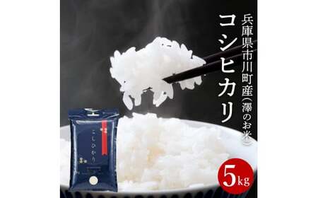 新米 令和7年産 市川町産 コシヒカリ(NICOMARU農場)精米5kg 013NM01N./ コシヒカリ 精米 お米 ご飯 ごはん 市川町