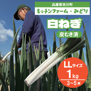 キッチンファームみどりの白ネギ LLサイズ 1kg (皮むき済み) 006KM01N./ねぎ ネギ 白ネギ 白ねぎ