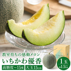 [年中発送!]感動メロン「いちかわ優香」1玉 010HS02N. / 果物 フルーツ メロン お取り寄せ 旬 水耕栽培