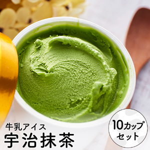 [累計1.8万個突破!]アイスクリーム詰め合わせ[まっ茶(10個)]012AE04N./アイス スイーツ デザート 牛乳アイス ミルク にゅうにゅう工房 冷凍 セット 冷菓