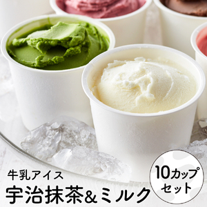 [累計1.8万個突破!]アイスクリーム詰め合わせ[オリジナルミルク(5個)・まっ茶(5個)]012AE07N./アイス スイーツ デザート 牛乳アイス ミルク にゅうにゅう工房 冷凍 セット 冷菓