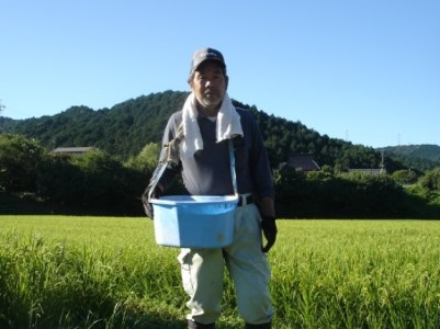 030IM032N.瀬加の美味しいお米(コシヒカリ)精米27kg