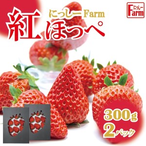 011NF01N.美味しいいちご「にっしーFarmの紅ほっぺ」300g×2P[予約受付2024年12月中旬より順次発送]