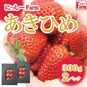 011NF02N.美味しいいちご「にっしーFarmのあきひめ」300g×2P[予約受付2024年12月中旬より順次発送]