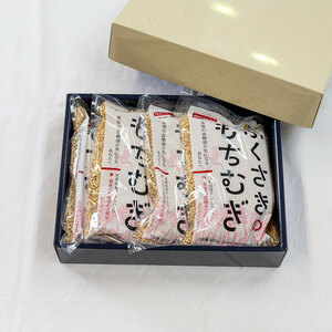 もちむぎ精麦2.4kg(600g×4袋)小分け もちむぎ 雑穀 五つ星ひょうご選定商品