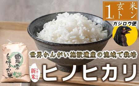 �y�͓��̃K�W���E�����͂��I�I�z�ߘa7�N�x�Y ���� �q�m�q�J�� ������ ���� 1000kg ���͂� ���Ɍ��Y ���E���񂪂��{�݈�Y�o�^�w��������`���H�x