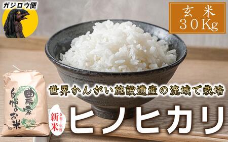 KWEցy֓EEߋEEElz 30kg ߘa7NxY qmqJ   30kg ͂ ɌY E񂪂{݈Yo^w`Hx