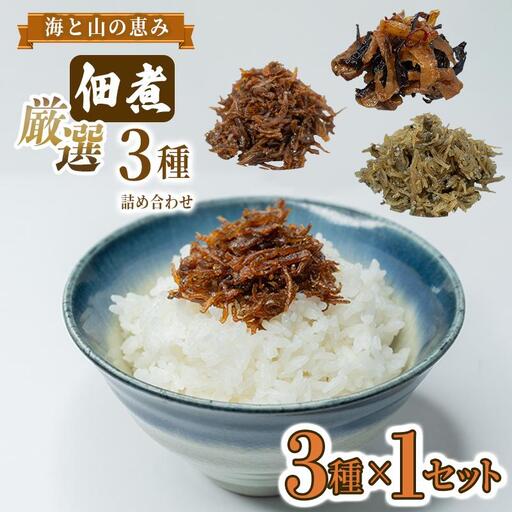厳選佃煮3種セット 海と山の恵み (計3袋) [国内産シラスのくぎ煮 65g ほたて貝ひもとキクラゲ 80g 生炊きちりめん山椒 90g] しらす ほたて 貝ひも キクラゲ ちりめん山椒 ごはんのお供 お酒のおつまみ 小分け
