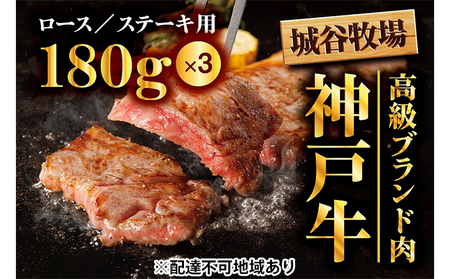 Jq̐_ˋ [X Xe[L 540gi180g×3jY a _˃r[t o[xL[ BBQ Ⓚ