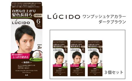 マンダム ルシード ワンプッシュケアカラー ダークブラウン 3個セット MA-16[ LUCIDO 毛染め 白髪 カラーリング 男性化粧品 おしゃれ 日用品 ]