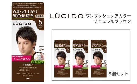 マンダム ルシード ワンプッシュケアカラー ナチュラルブラウン 3個セット MA-14[ LUCIDO 毛染め 白髪 カラーリング 男性化粧品 おしゃれ 日用品 ]