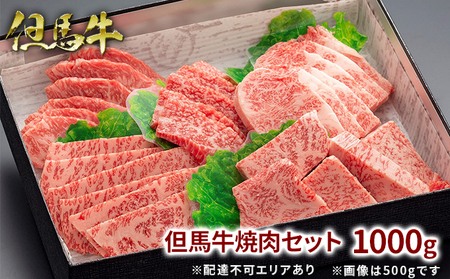  但馬牛 焼肉 5種 食べ比べ 計1,000g[ 牛肉 お肉 ブランド牛 焼き肉 キャンプ BBQ アウトドア バーベキュー 霜降り 赤身 ギフト 母の日 父の日 ]