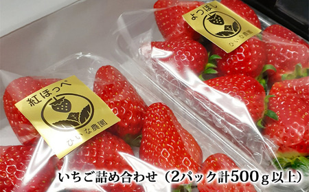 いちご詰め合わせ(2パック計500g以上)贈答用 化粧箱入り