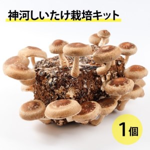 _͔͂|Lbg(ۏ)1@10`4y1355216z