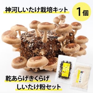 _͔͂|Lbg(ۏ)1Ɗ炰炰EZbg@10`4y1355231z