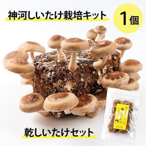 _͔͂|Lbg(ۏ)1ƊZbg@10`4y1355227z