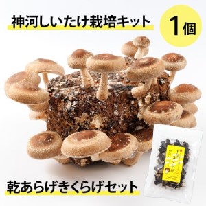 _͔͂|Lbg(ۏ)1Ɗ炰炰Zbg@10`4y1355228z