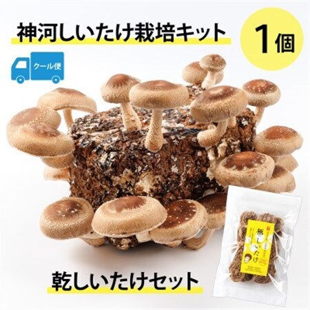 神河しいたけ栽培キット(しいたけ菌床)1個と乾しいたけセット　※5月～10月順次発送【配送不可地域：離島】【1411537】